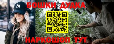 a pvp Абакан