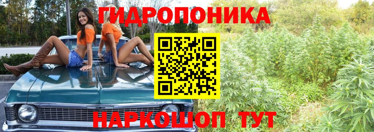 Канабис SATIVA & INDICA  Конопля Bruce Banner  Канабис VHQ  Алушта  Шишки марихуана сатива  Вход с VPN 